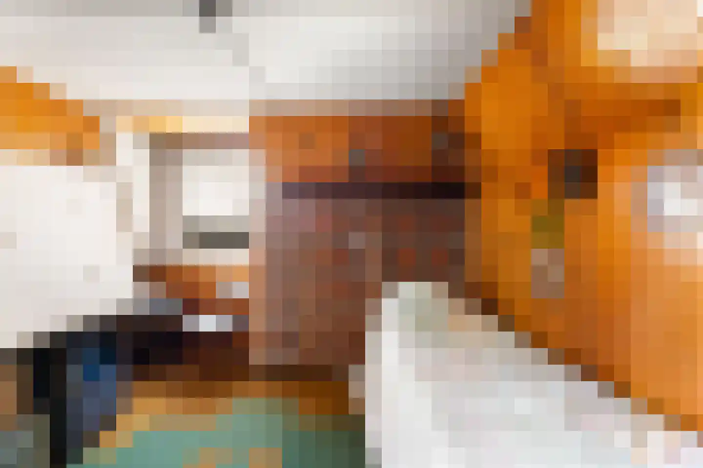 Coosje Buskenstraat 75 Vlissingen thumbnail 65