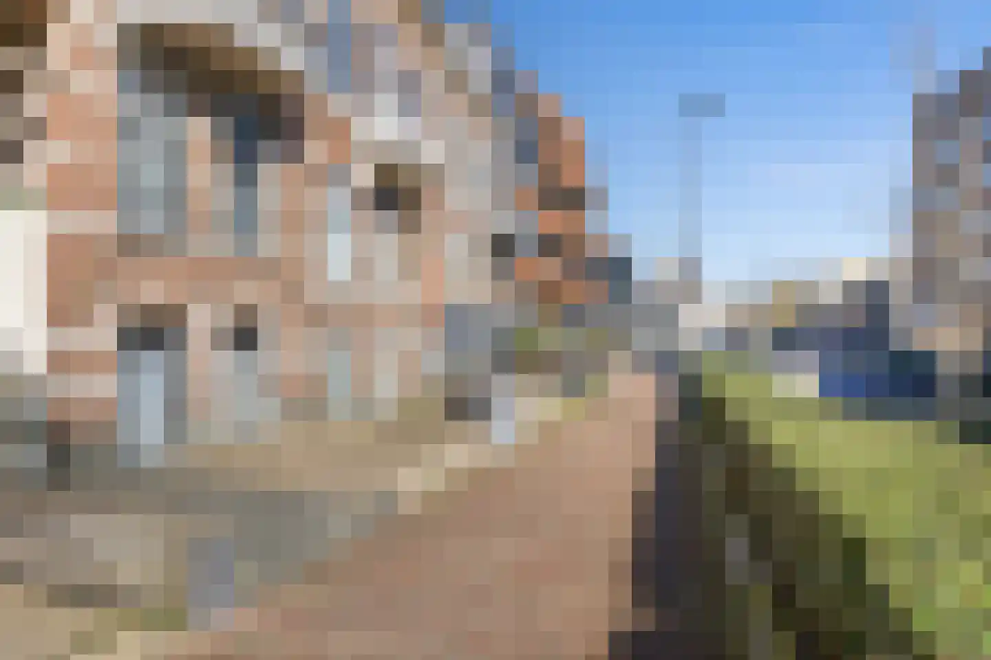 Coosje Buskenstraat 75 Vlissingen thumbnail 7