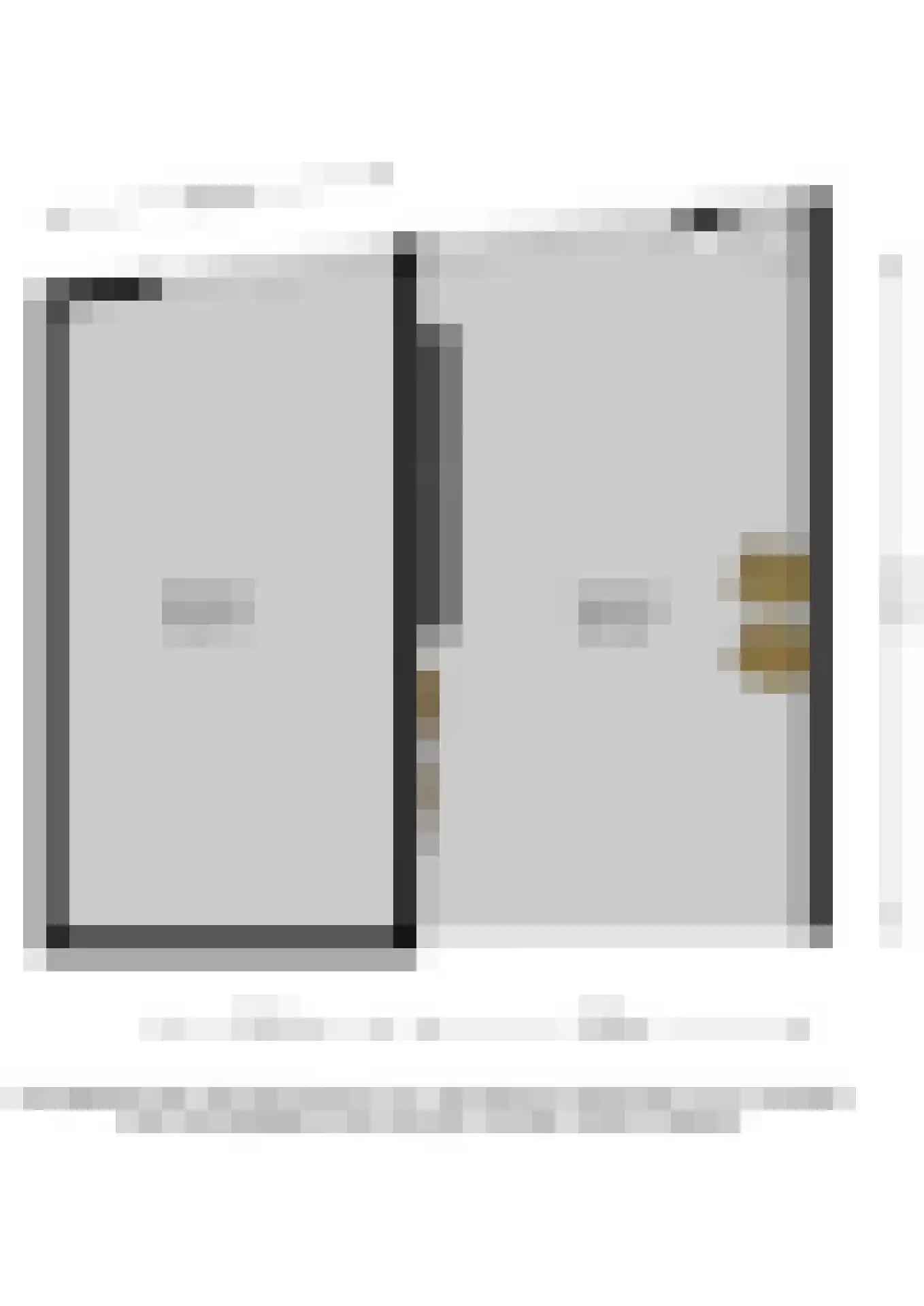 Coosje Buskenstraat 75 Vlissingen thumbnail 79