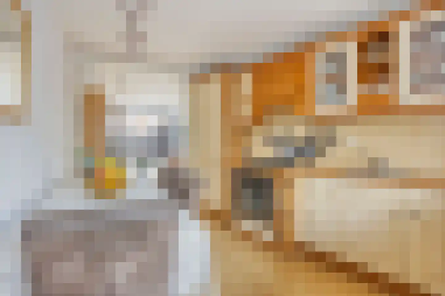 Copepad 3 Alphen aan den Rijn thumbnail 13