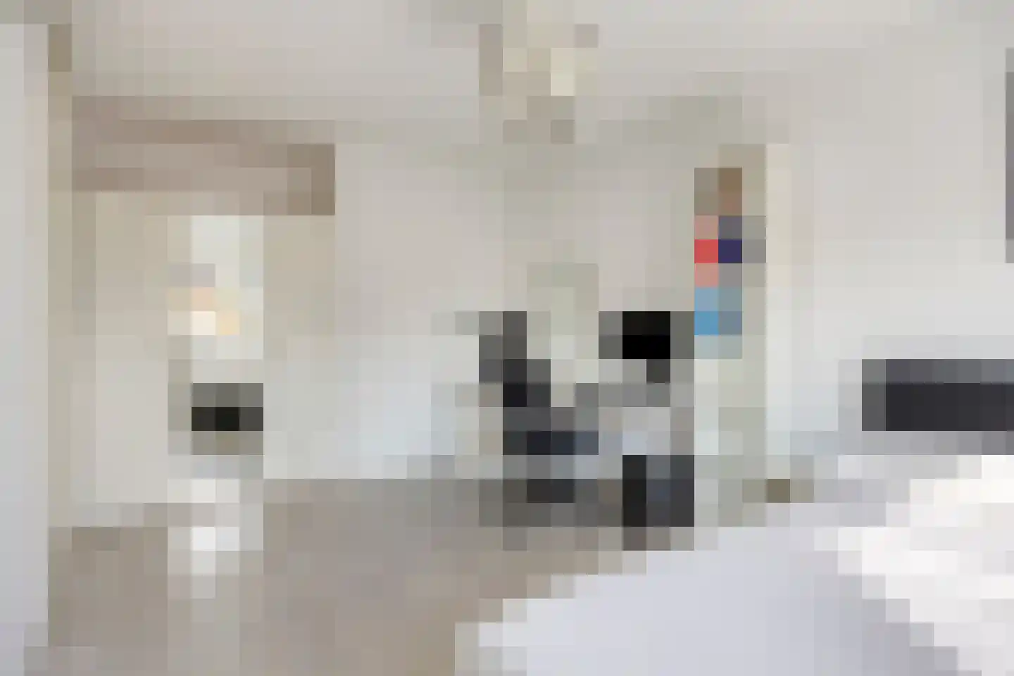 Copepad 3 Alphen aan den Rijn thumbnail 23
