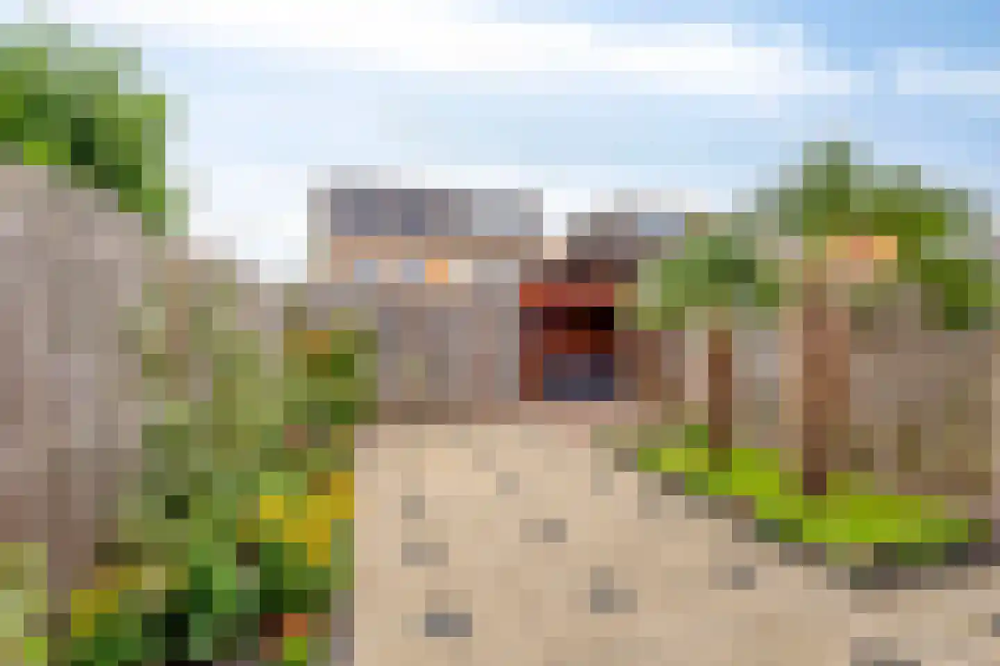 Copepad 3 Alphen aan den Rijn thumbnail 27