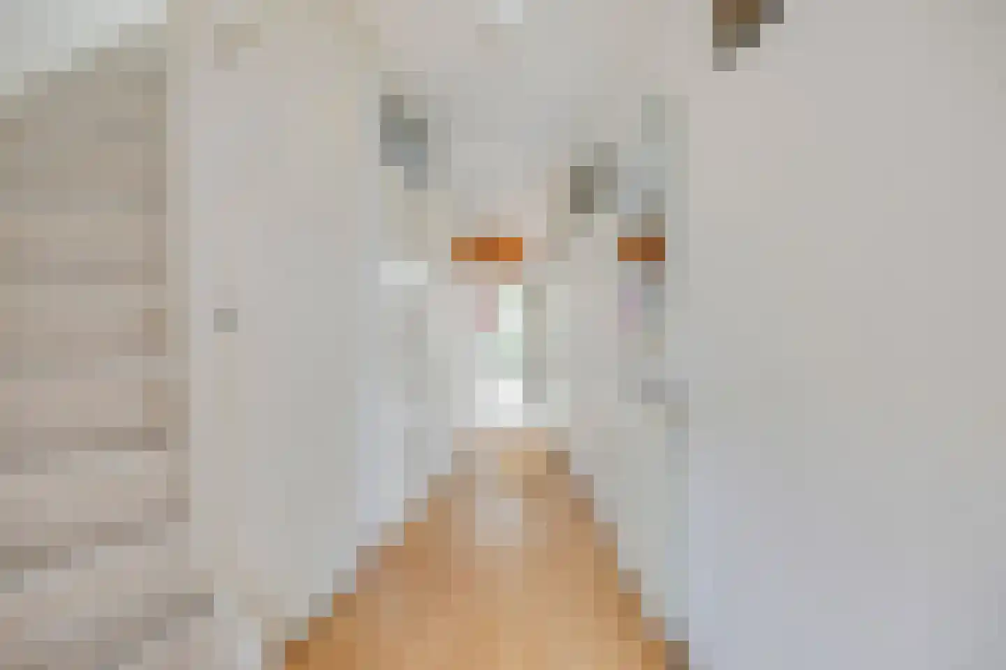 Copepad 3 Alphen aan den Rijn thumbnail 8