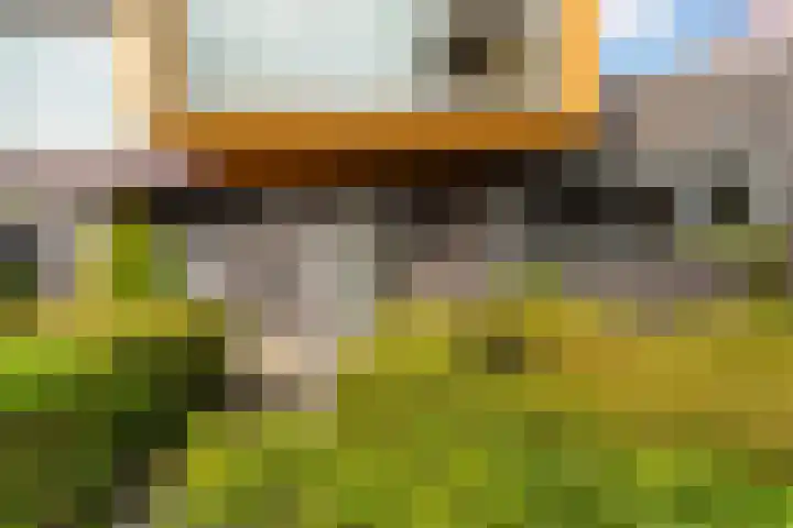 Copepad 58 Alphen aan den Rijn thumbnail 10