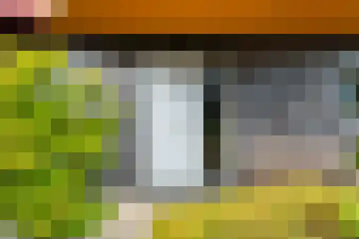 Copepad 58 Alphen aan den Rijn thumbnail 11