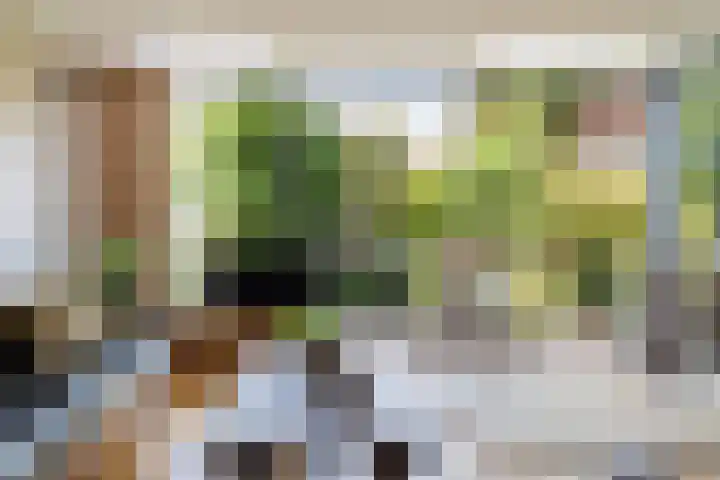 Copepad 58 Alphen aan den Rijn thumbnail 21