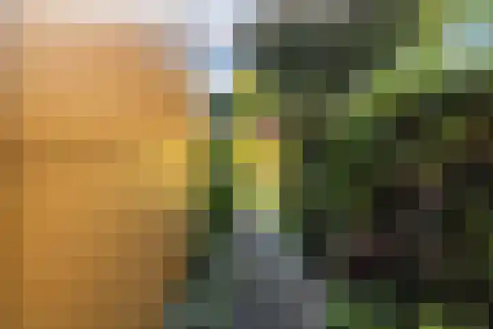 Copepad 58 Alphen aan den Rijn thumbnail 36
