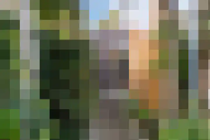 Copepad 58 Alphen aan den Rijn thumbnail 37