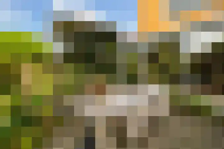 Copepad 58 Alphen aan den Rijn thumbnail 39