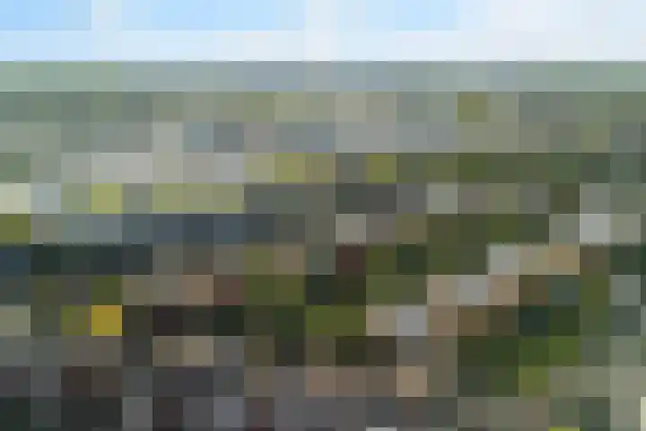 Copepad 58 Alphen aan den Rijn thumbnail 4