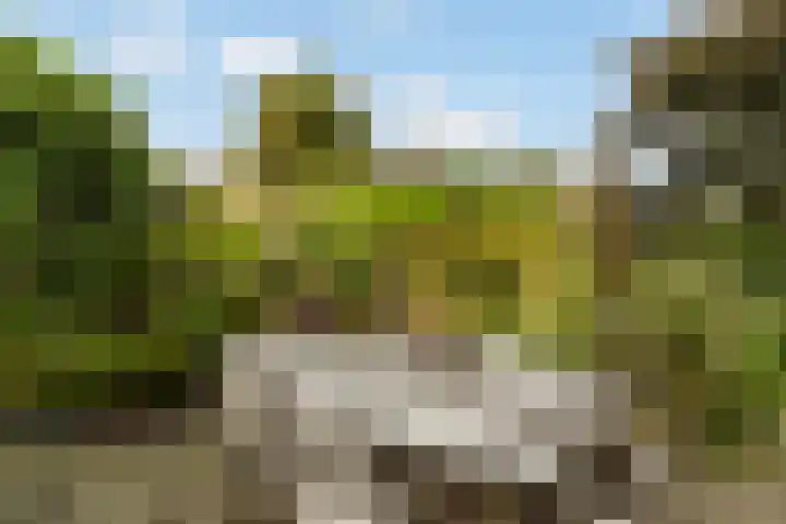 Copepad 58 Alphen aan den Rijn thumbnail 40