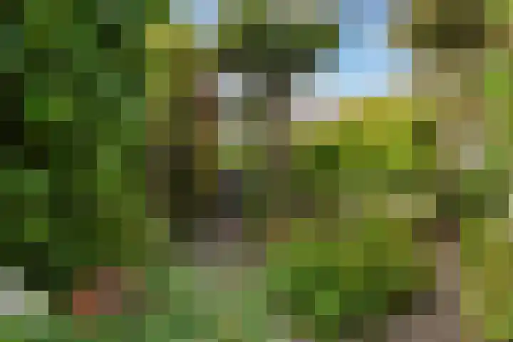 Copepad 58 Alphen aan den Rijn thumbnail 41