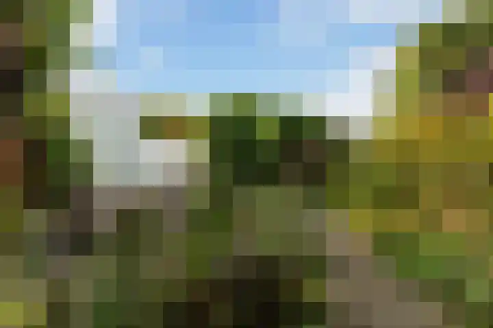 Copepad 58 Alphen aan den Rijn thumbnail 42