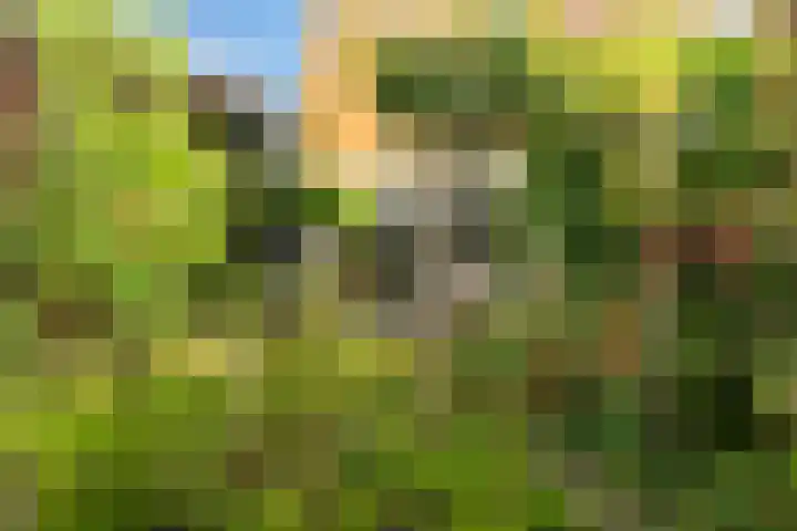 Copepad 58 Alphen aan den Rijn thumbnail 43