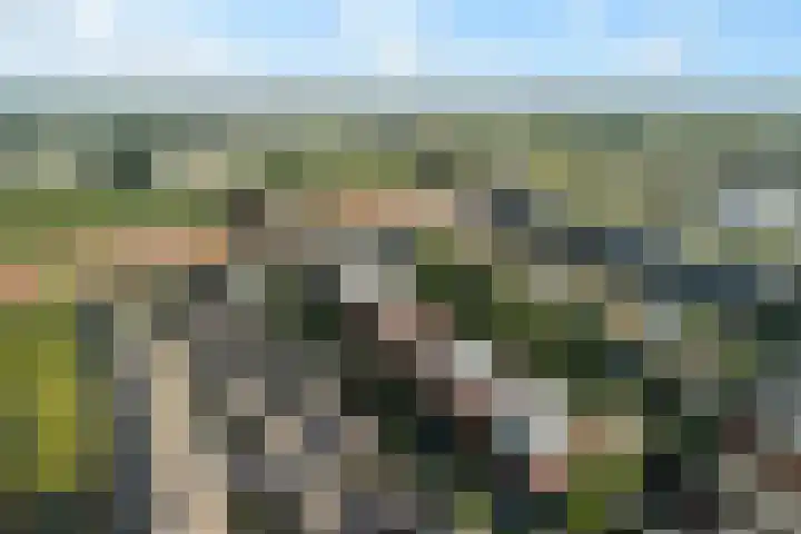 Copepad 58 Alphen aan den Rijn thumbnail 5