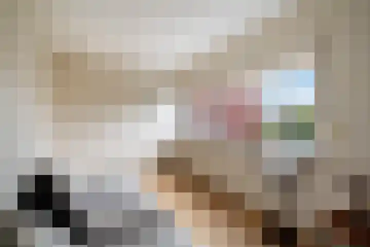 Copepad 58 Alphen aan den Rijn thumbnail 54