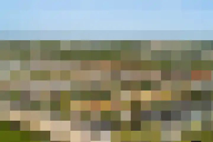 Copepad 58 Alphen aan den Rijn thumbnail 6