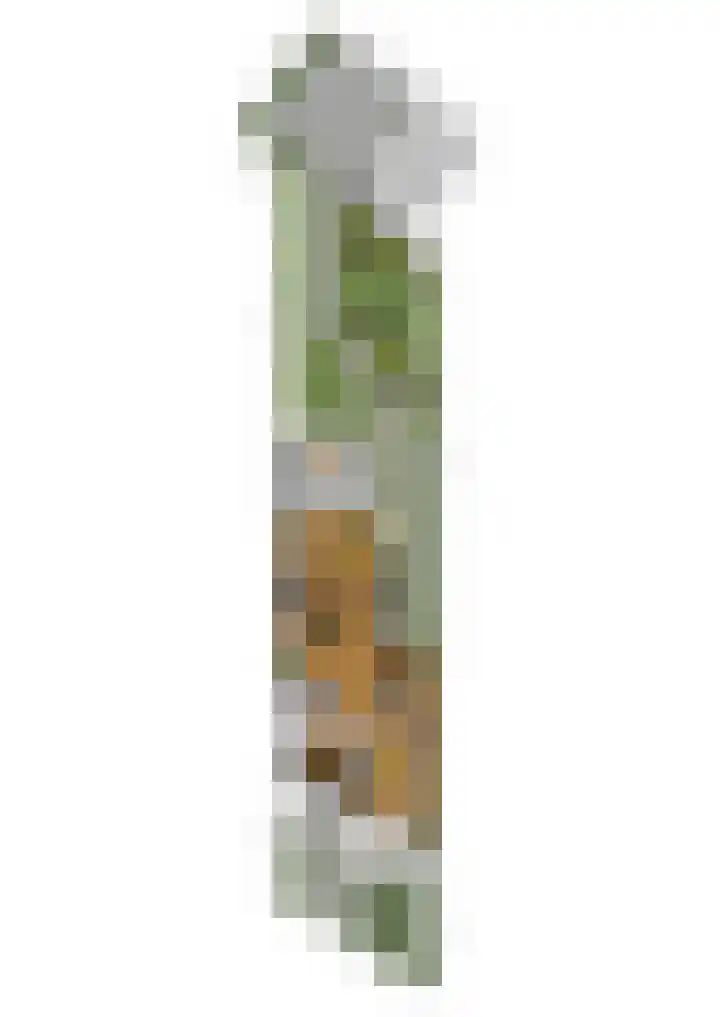 Copepad 58 Alphen aan den Rijn thumbnail 63