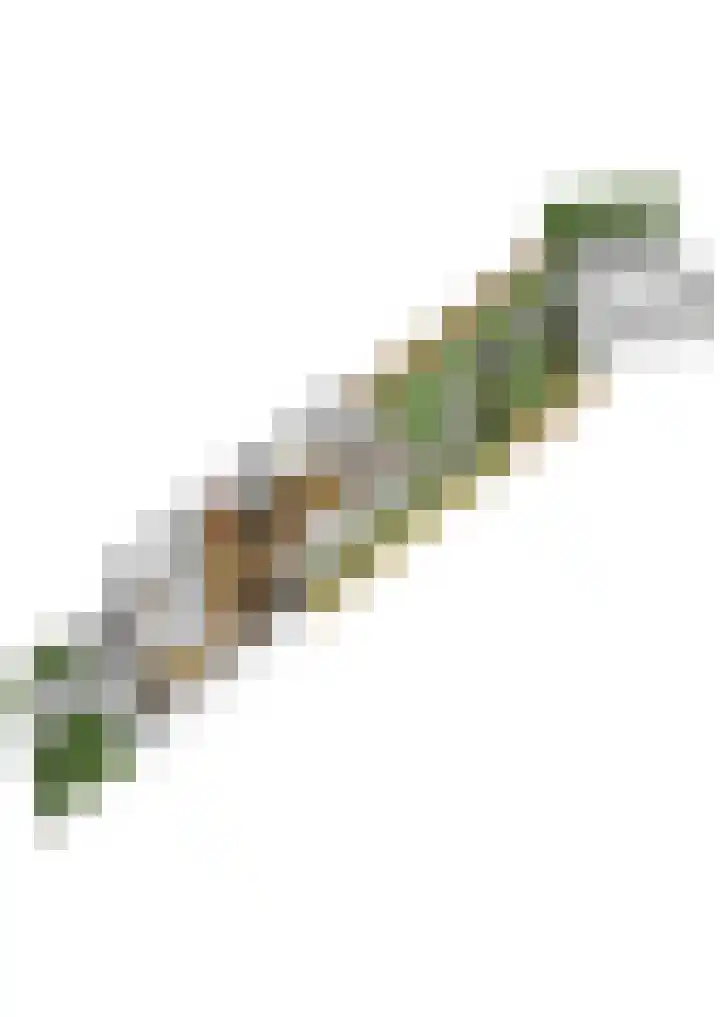 Copepad 58 Alphen aan den Rijn thumbnail 66