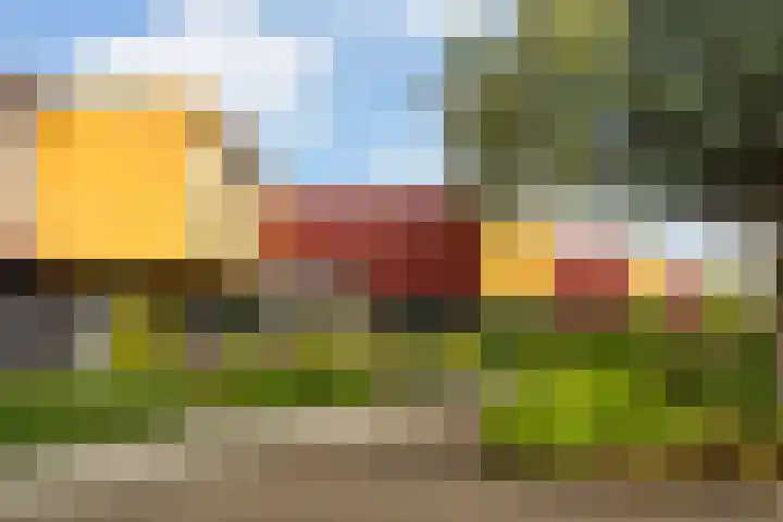 Copepad 58 Alphen aan den Rijn thumbnail 7