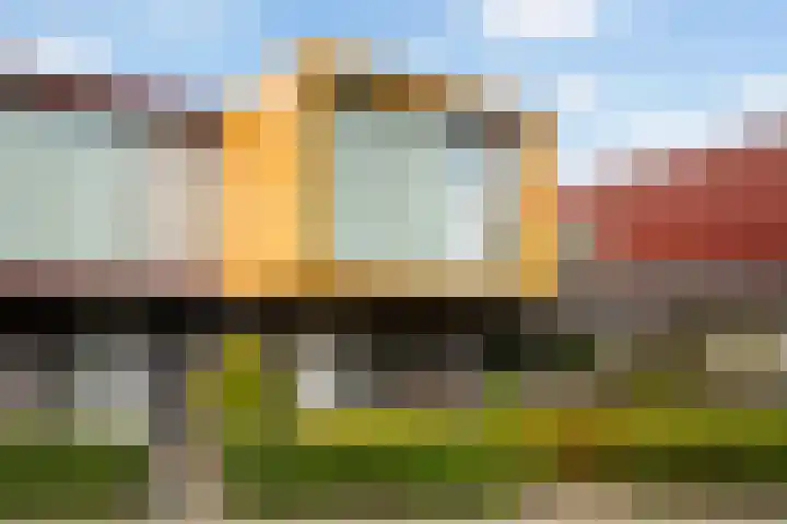 Copepad 58 Alphen aan den Rijn thumbnail 8