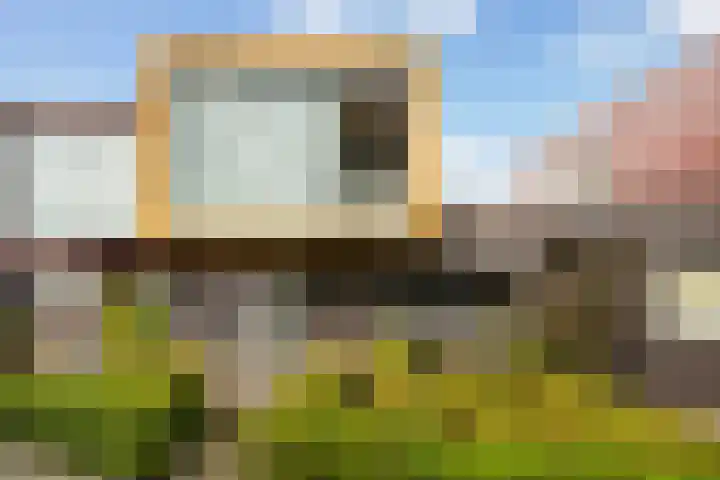 Copepad 58 Alphen aan den Rijn thumbnail 9