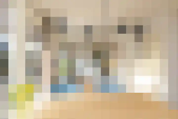 Copernicuslaan 1 Hoogeveen thumbnail 17