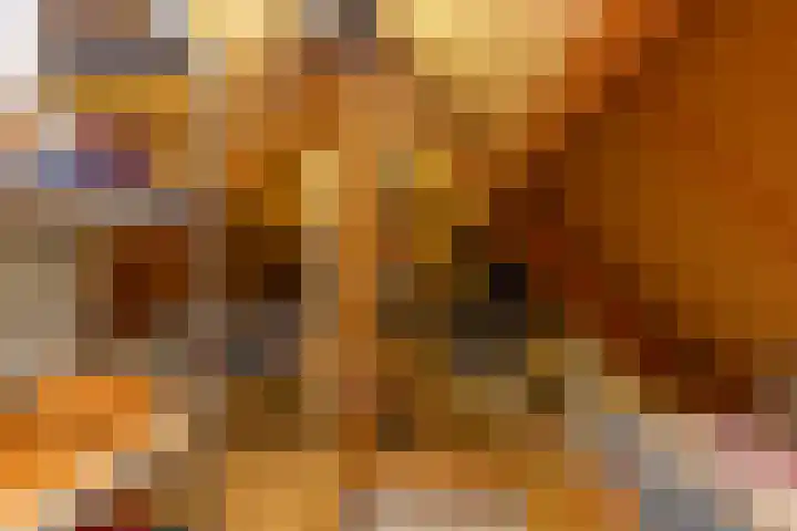 Copernicuslaan 1 Hoogeveen thumbnail 48