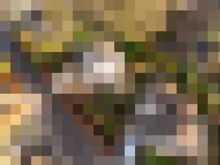 Copernicuslaan 1 Hoogeveen thumbnail 49