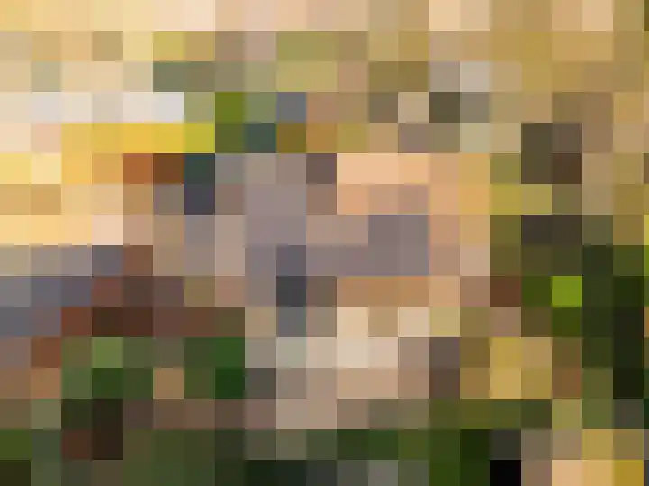 Copernicuslaan 1 Hoogeveen thumbnail 50