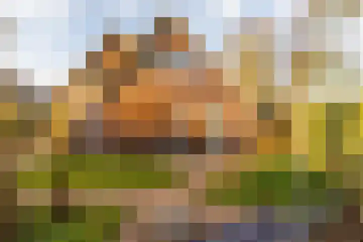 Copernicuslaan 1 Hoogeveen thumbnail 55