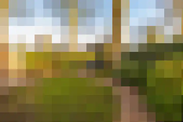 Copernicuslaan 1 Hoogeveen thumbnail 57