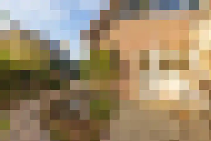 Copernicuslaan 1 Hoogeveen thumbnail 58