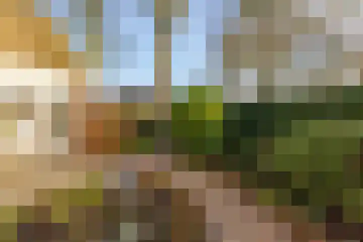 Copernicuslaan 1 Hoogeveen thumbnail 62