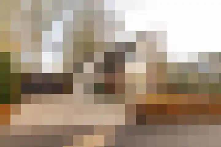 Copernicuslaan 1 Hoogeveen thumbnail 64
