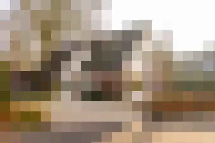 Copernicuslaan 1 Hoogeveen thumbnail 65