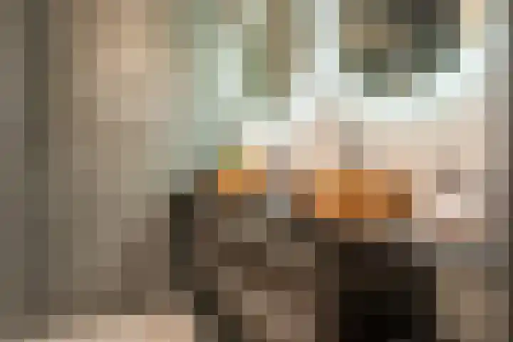 Copernicuslaan 10 Hoogeveen thumbnail 17