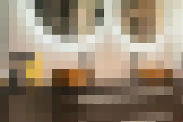 Copernicuslaan 10 Hoogeveen thumbnail 18