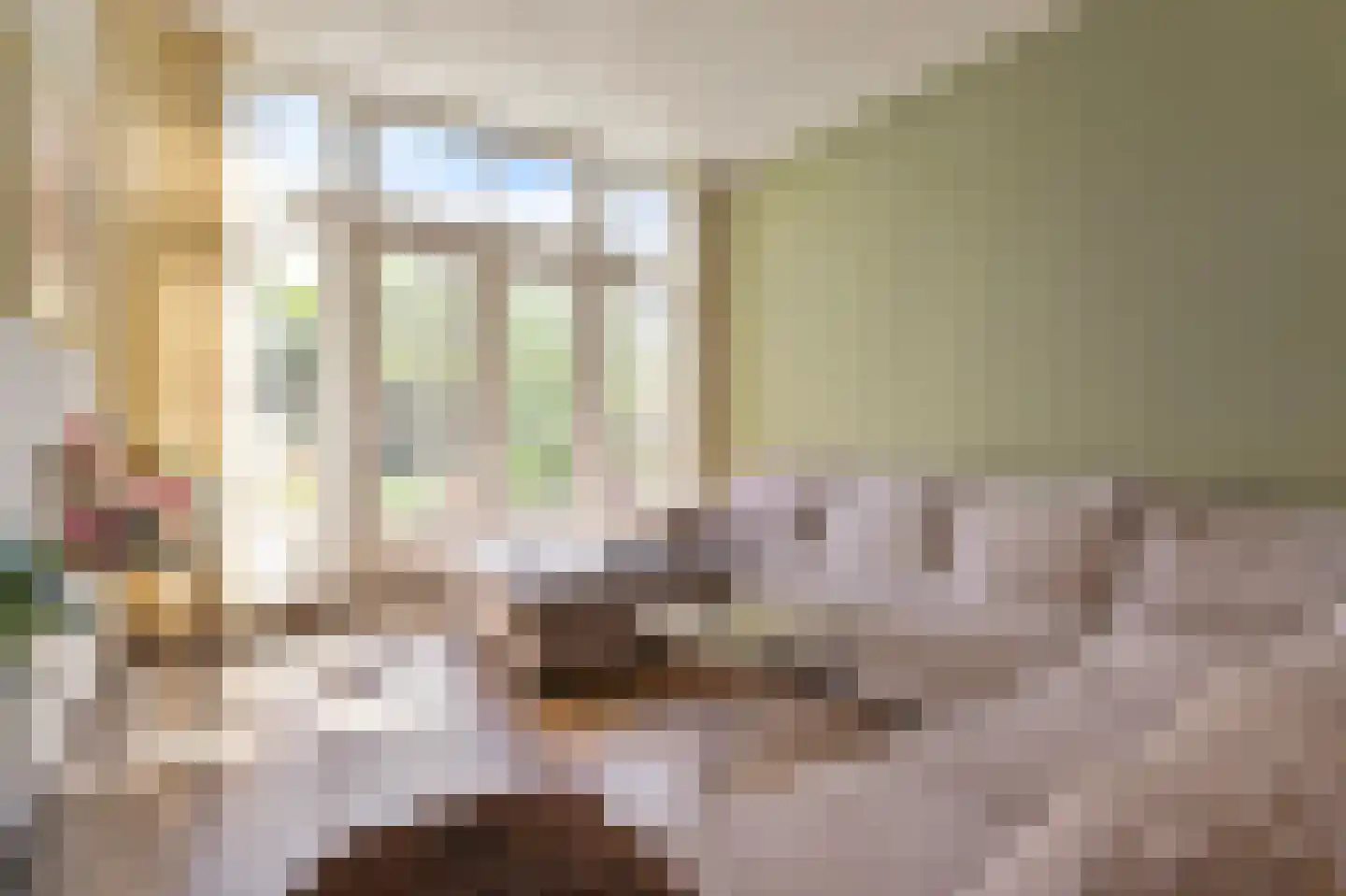 Copernicuslaan 108 Den Haag thumbnail 11