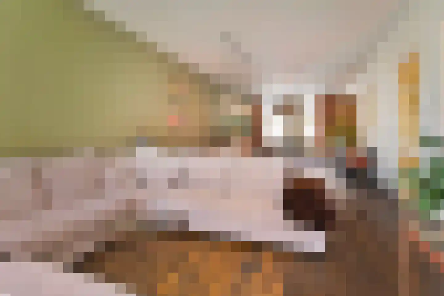 Copernicuslaan 108 Den Haag thumbnail 12