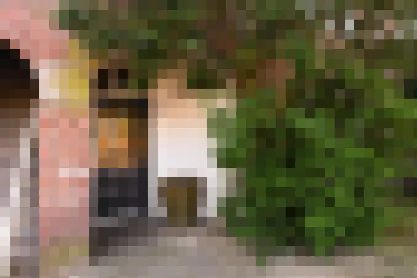 Copernicuslaan 108 Den Haag thumbnail 4