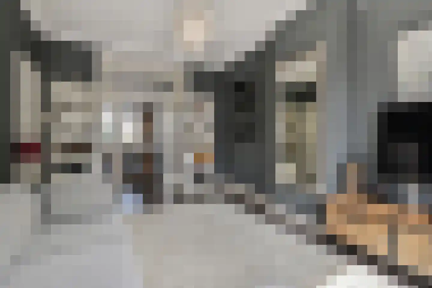 Copernicuslaan 147 Den Haag thumbnail 13