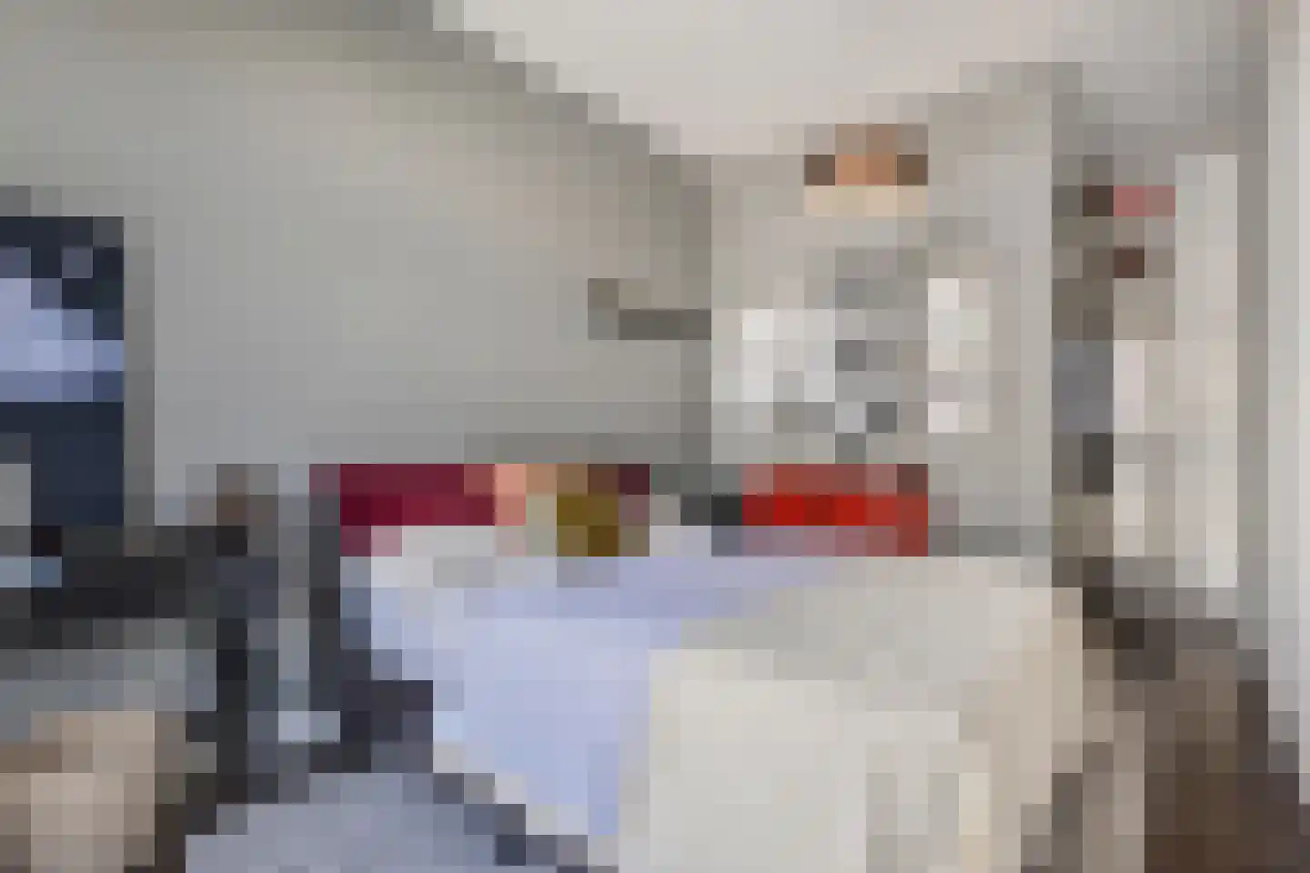 Copernicuslaan 147 Den Haag thumbnail 23