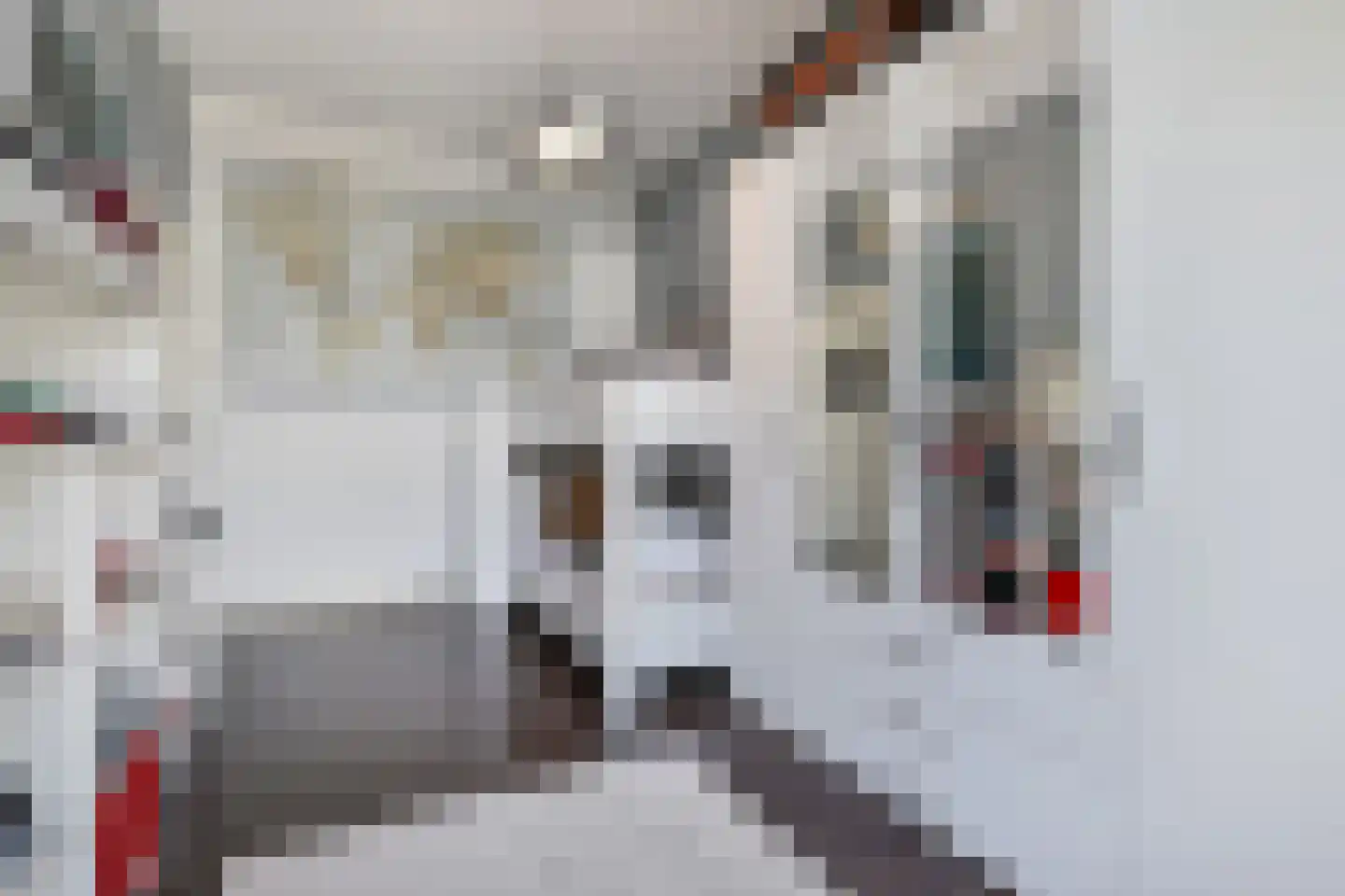 Copernicuslaan 147 Den Haag thumbnail 31