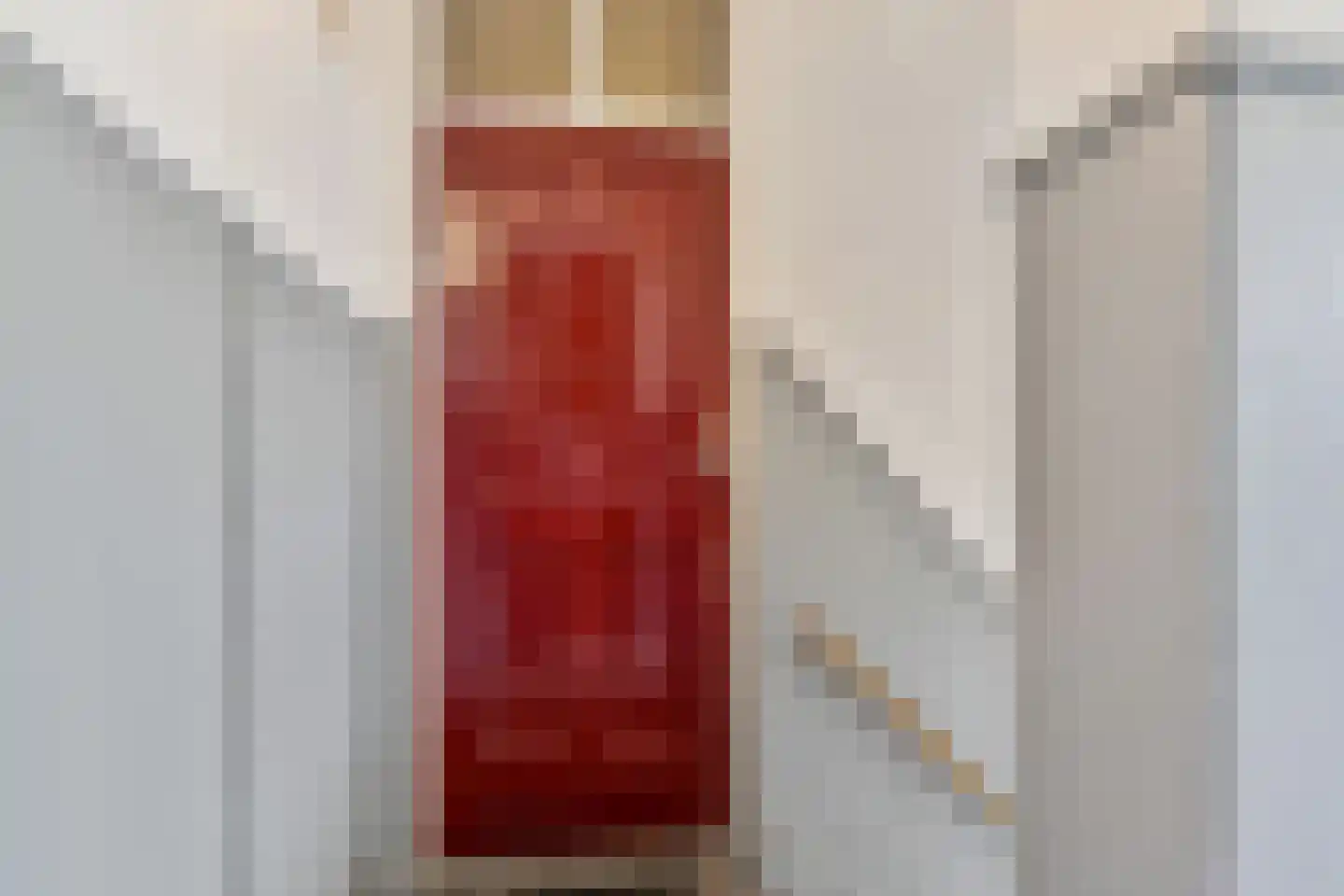 Copernicuslaan 147 Den Haag thumbnail 7