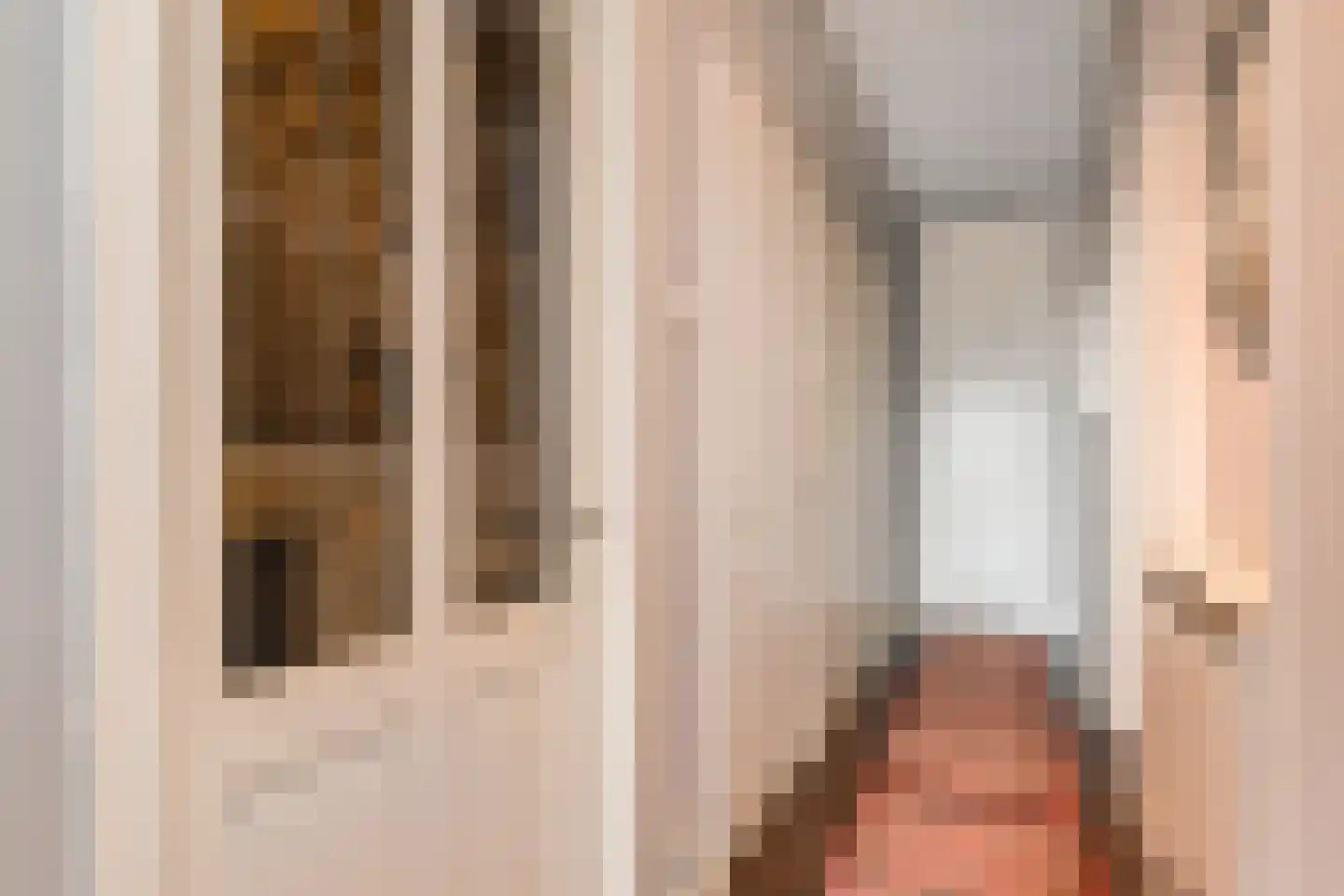 Copernicuslaan 147 Den Haag thumbnail 9