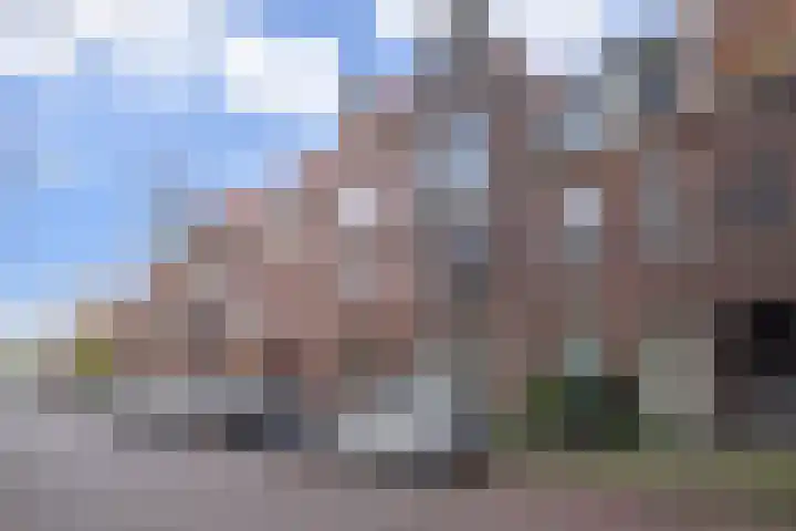 Copernicuslaan 160 Den Haag thumbnail 27