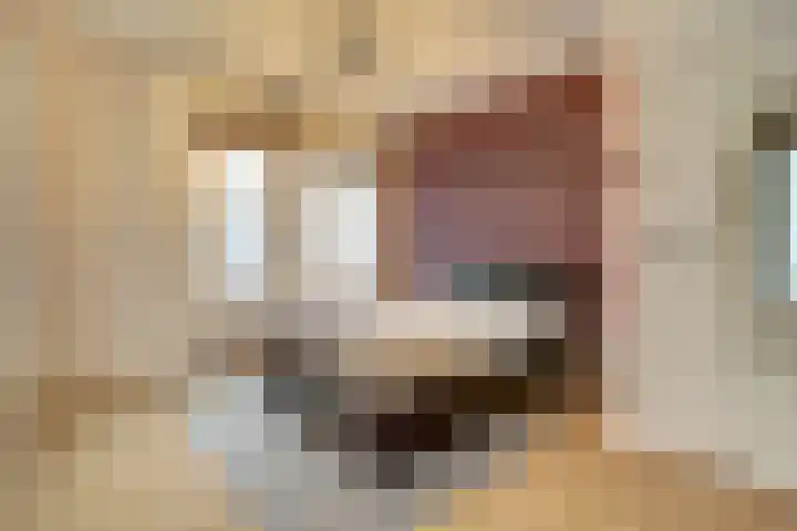 Copernicuslaan 164 Den Haag thumbnail 10
