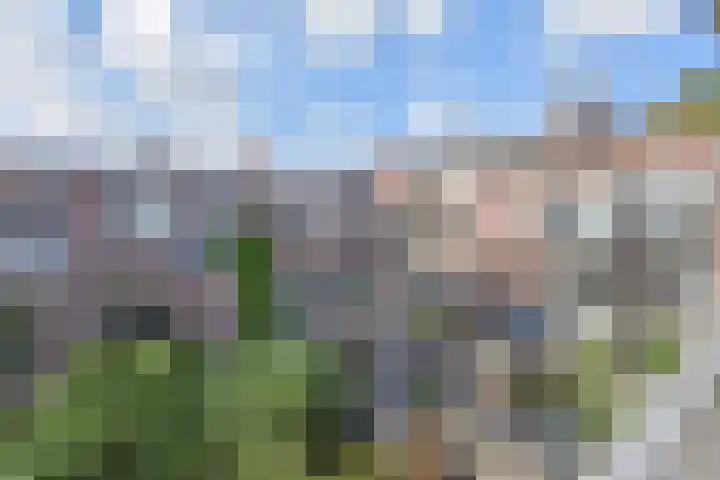 Copernicuslaan 164 Den Haag thumbnail 13