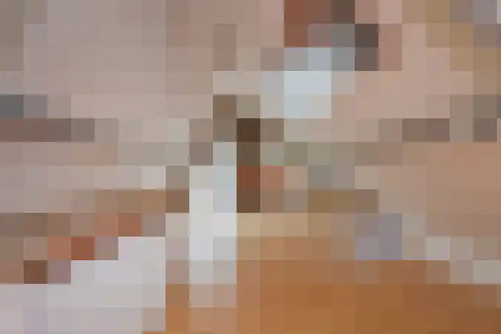 Copernicuslaan 164 Den Haag thumbnail 32